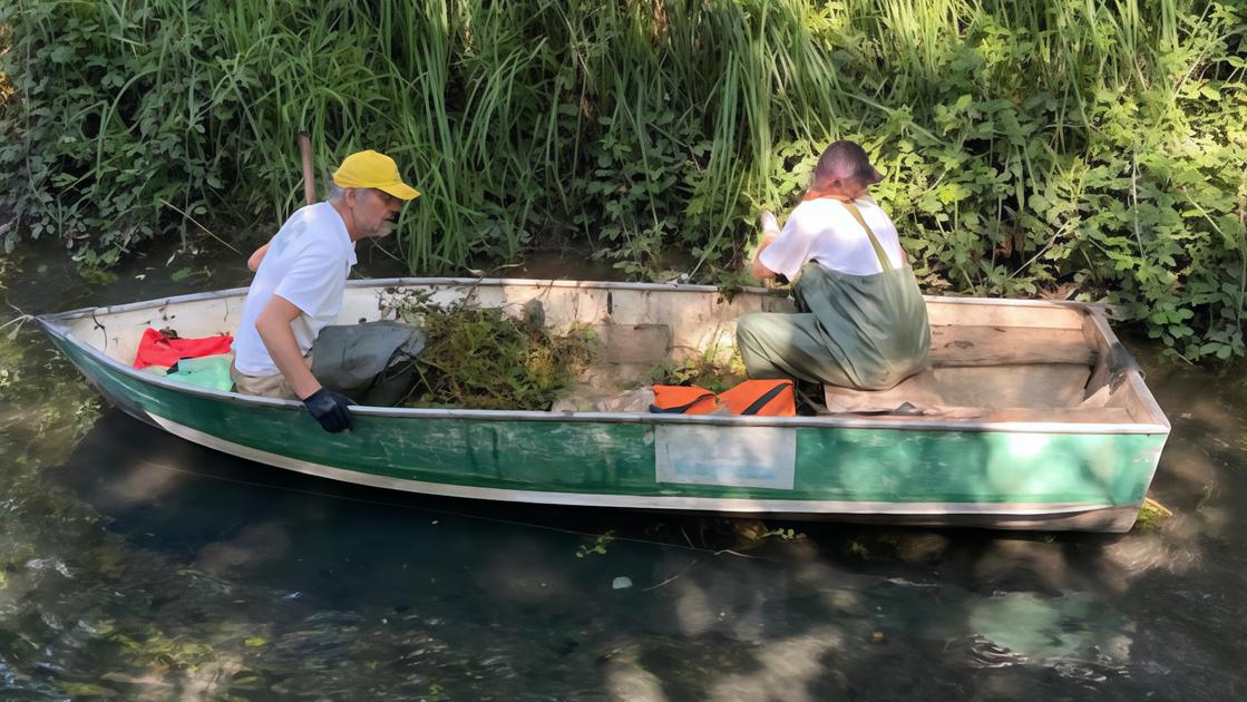 a caccia di piante aliene al lago di porta legambiente in azione con i volontari