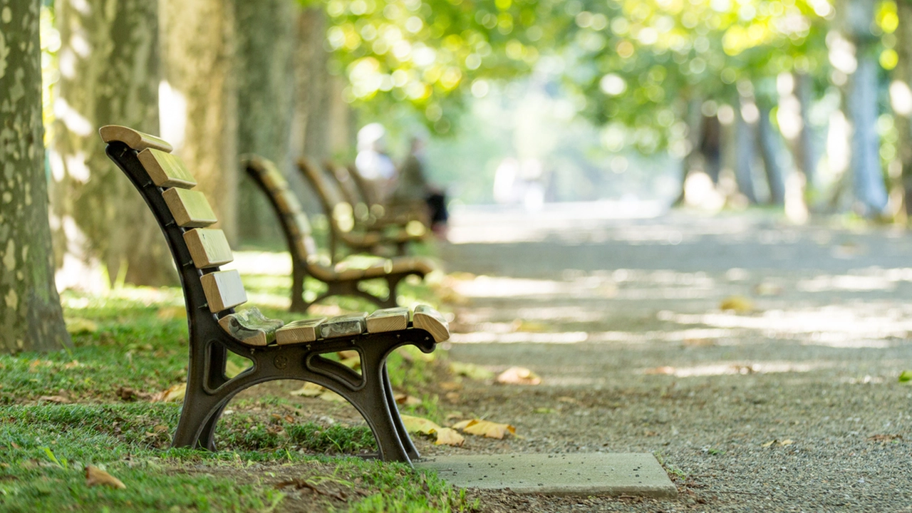 Il giardino pubblico di via Caduti sul Lavoro trasformato in luogo di incontri a sfondo sessuali, con appuntamenti fissati tramite chat di scambisti e siti di dating (foto iStock) Il giardino pubblico di via Caduti sul Lavoro trasformato in luogo di incontri a sfondo sessuali, con appuntamenti fissati tramite chat di scambisti e siti di dating (foto iStock)