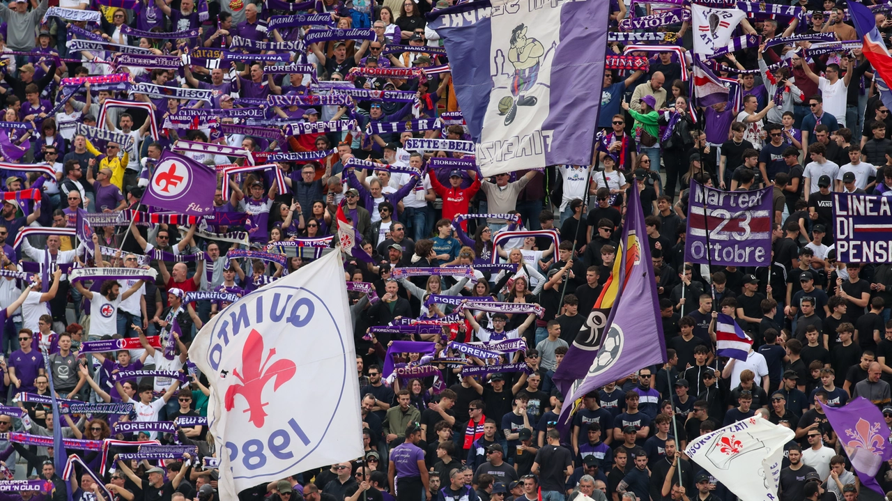 Tifosi viola (Germogli) Tifosi viola (Germogli)
