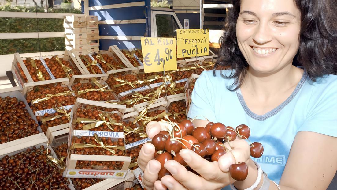 I benefici apportati dalle ciligie I benefici apportati dalle ciligie