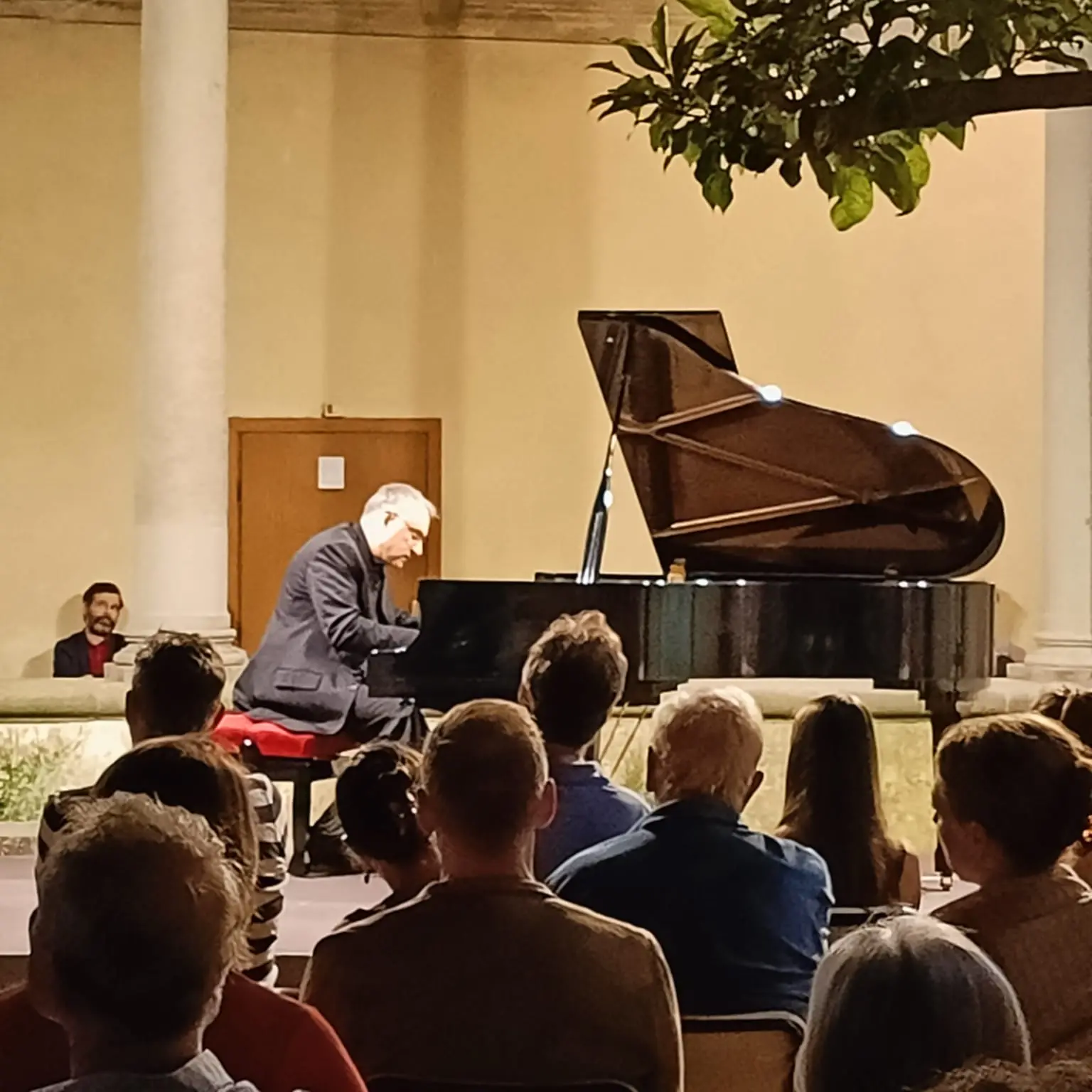 Concerto di Danis Pagani sabato 2 agosto -