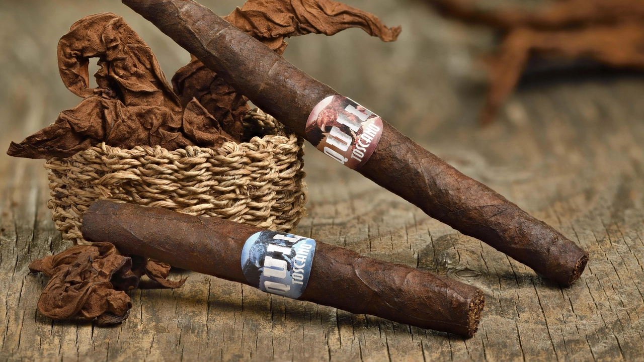 Il ministero dell’Agricoltura e Manifatture Sigaro Toscano hanno rinnovato a Lucca il protocollo d’intesa che sancisce l’impegno pluriennale a garanzia della filiera del tabacco (foto repertorio) Il ministero dell’Agricoltura e Manifatture Sigaro Toscano hanno rinnovato a Lucca il protocollo d’intesa che sancisce l’impegno pluriennale a garanzia della filiera del tabacco (foto repertorio)