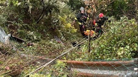 L'intervento dei vigili del fuoco per l'incidente stradale L'intervento dei vigili del fuoco per l'incidente stradale