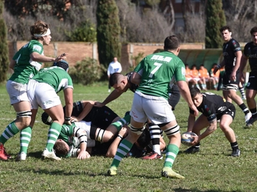 immagine articolo