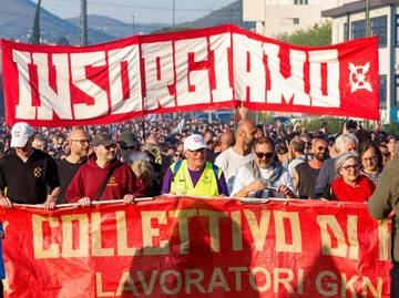 immagine articolo