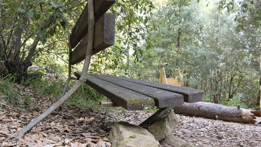Cartelli divelti, reti sfondate, attrezzi distrutti e schegge di legno ovunque. Viaggio tra le rovine di un’area che potrebbe essere il paradiso degli sportivi. Cartelli divelti, reti sfondate, attrezzi distrutti e schegge di legno ovunque. Viaggio tra le rovine di un’area che potrebbe essere il paradiso degli sportivi.