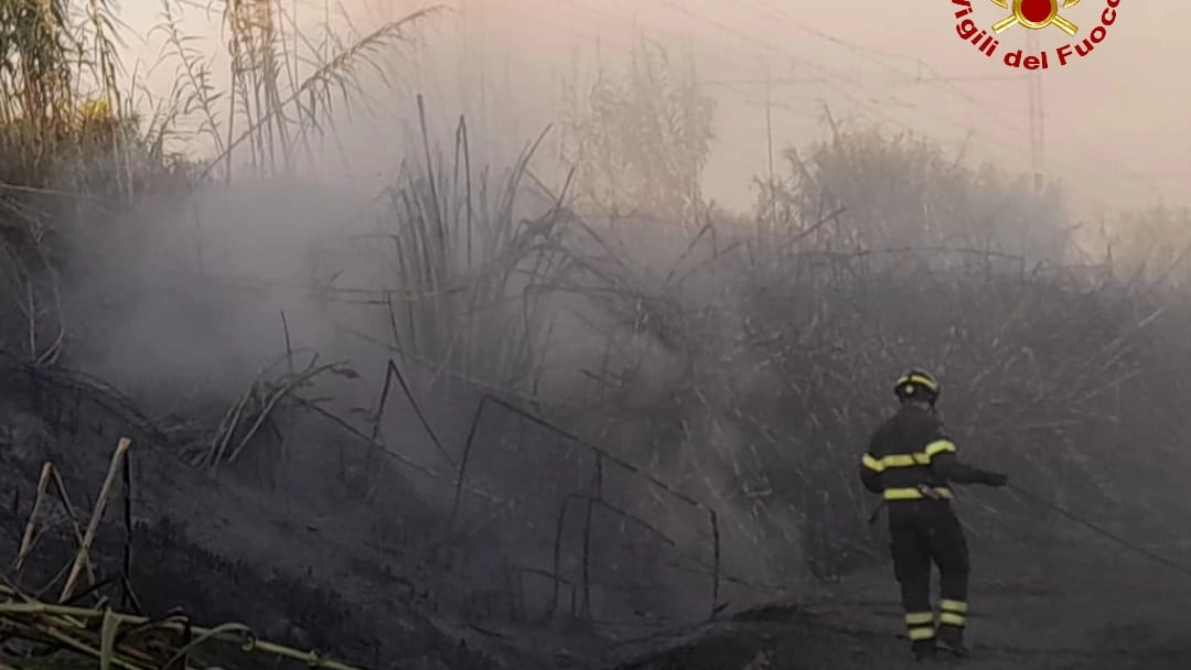 I vigili del fuoco hanno estinto l'incendio sulla linea ferroviaria a Montopoli Valdarno (Foto vigili del fuoco) I vigili del fuoco hanno estinto l'incendio sulla linea ferroviaria a Montopoli Valdarno (Foto vigili del fuoco)