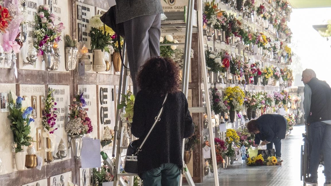 Interventi sul cimitero di Umbertide Interventi sul cimitero di Umbertide
