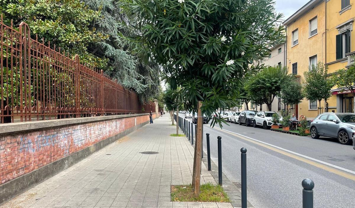 https://www.lanazione.it/image-service/view/acePublic/alias/contentid/MWI4YWE4MjAtMmUwYy00/0/quindici-giorni-di-prova-lo-stop-di-via-croce-per-aiutare-il-traffico.jpeg?f=1.90:1&w=1200