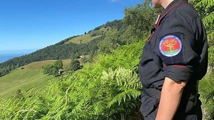 Carabinieri forestali Carabinieri forestali