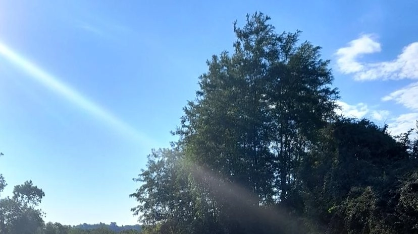 Ogni giorno aumentano le segnalazioni per i rifiuti che vengono abbandonati nelle piazzole di sosta della strada 429