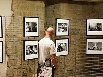 immagine articolo