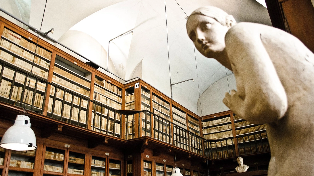 L'Accademia delle Belle Arti di Firenze (Foto di repertorio) L'Accademia delle Belle Arti di Firenze (Foto di repertorio)