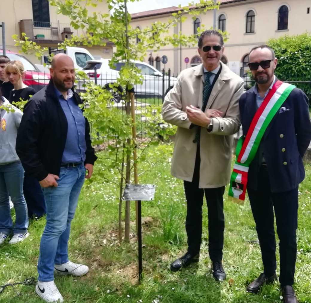 Ginko Biloba: arriva la pianta simbolo di pace