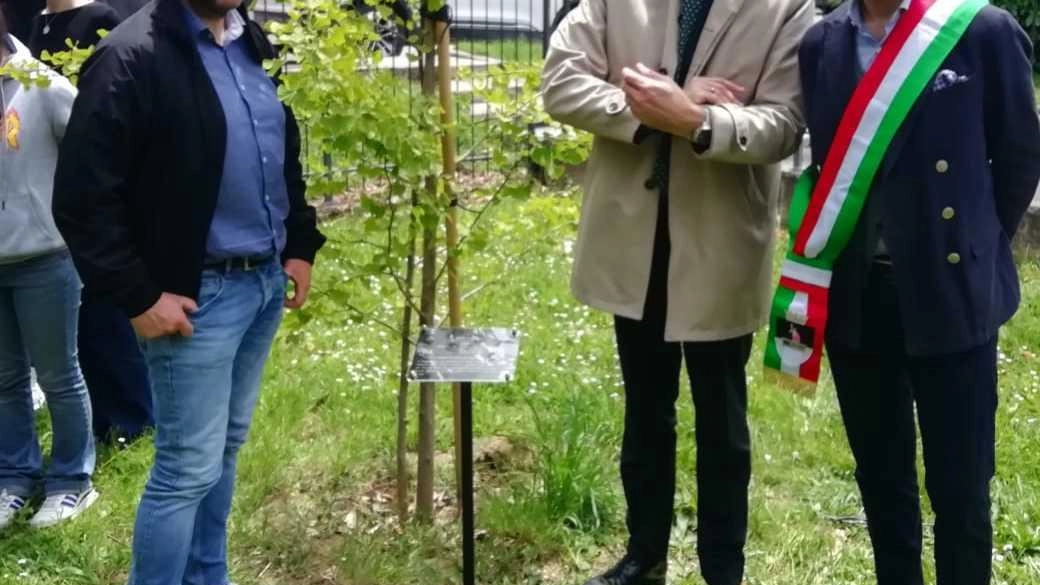 Una pianta come simbolo di pace e non violenza fra uomini, con targa appositamente dedicata. Quasi un atto doveroso da... Una pianta come simbolo di pace e non violenza fra uomini, con targa appositamente dedicata. Quasi un atto doveroso da...