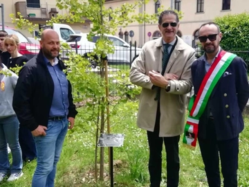 immagine articolo