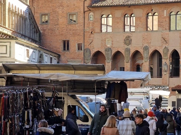 immagine articolo
