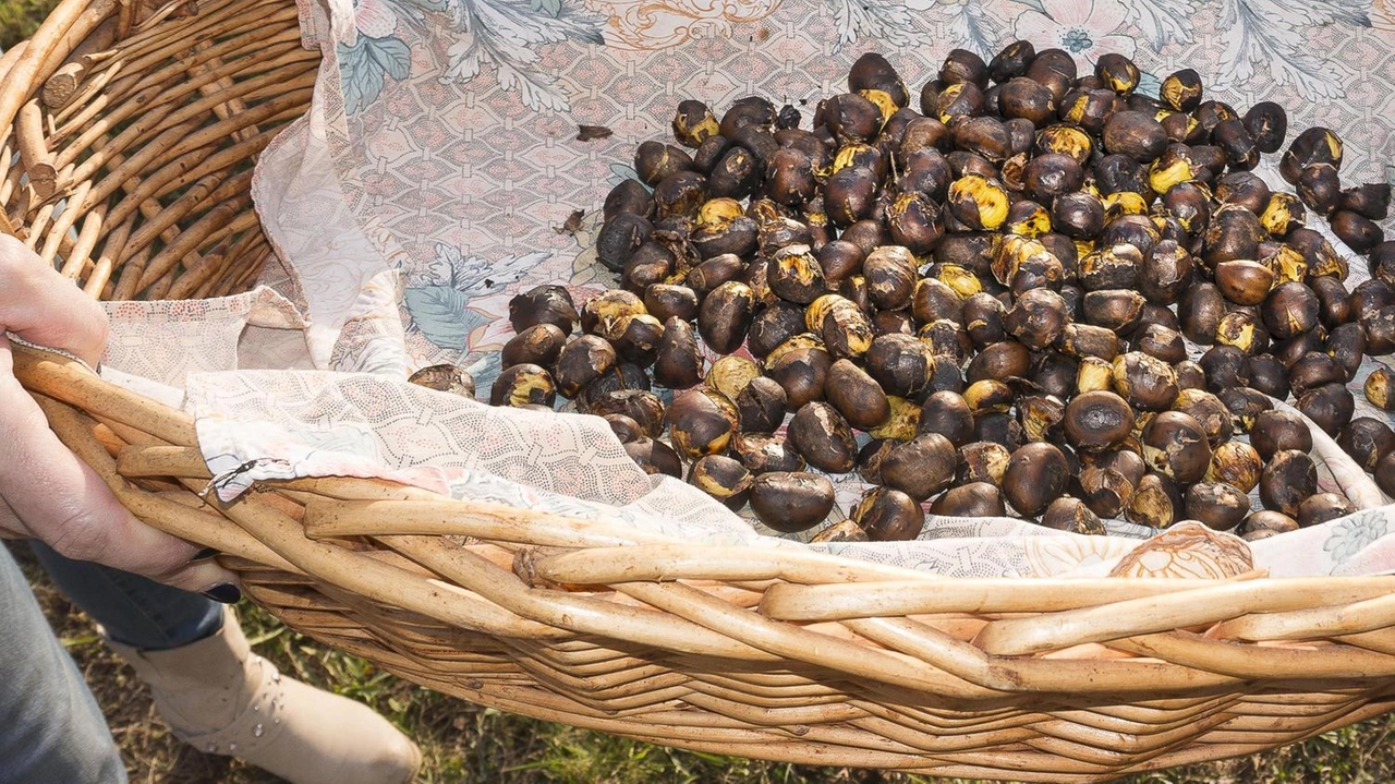 A partire dalle 15.30 l’iniziativa promossa dal Comitato popolare in collaborazione con i ristoratori e le attività commerciali della zona. A partire dalle 15.30 l’iniziativa promossa dal Comitato popolare in collaborazione con i ristoratori e le attività commerciali della zona.