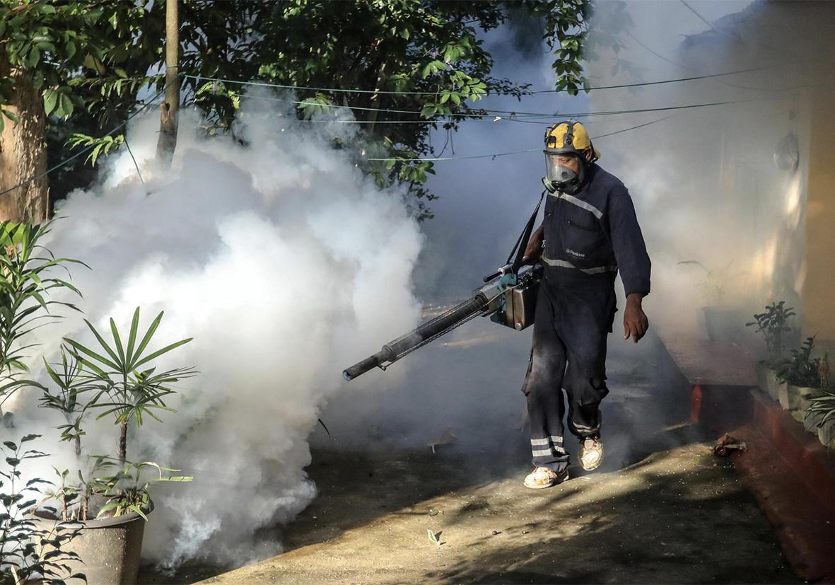 Un caso di Dengue registrato a Perugia. La donna era rientrata da un viaggio all’estero Un caso di Dengue registrato a Perugia. La donna era rientrata da un viaggio all’estero