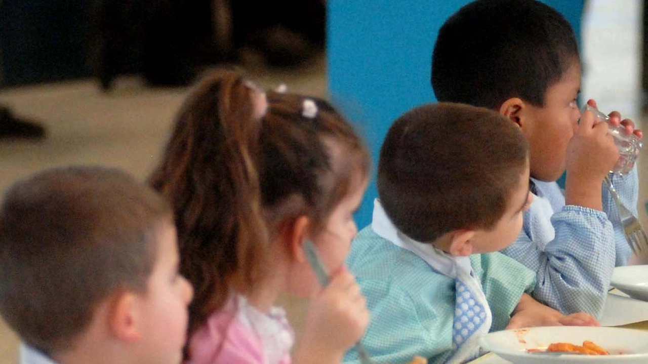 Al via le iscrizioni ai servizi scolastici di mensa e trasporto per il prossimo anno scolastico, 2025/2026. Le domande possono... Al via le iscrizioni ai servizi scolastici di mensa e trasporto per il prossimo anno scolastico, 2025/2026. Le domande possono...