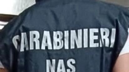 I responsabili del locale criticano l’attività del Nas: «L’intervento dei carabinieri ha vio. lato il domicilio privato» I responsabili del locale criticano l’attività del Nas: «L’intervento dei carabinieri ha vio. lato il domicilio privato»