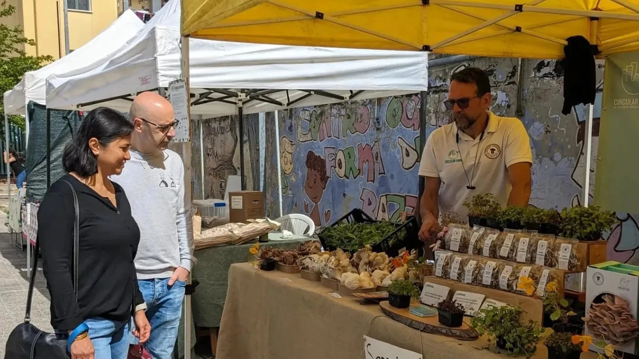Insieme alla festa il mercato contadino con produttori locali, come ogni prima domenica Insieme alla festa il mercato contadino con produttori locali, come ogni prima domenica
