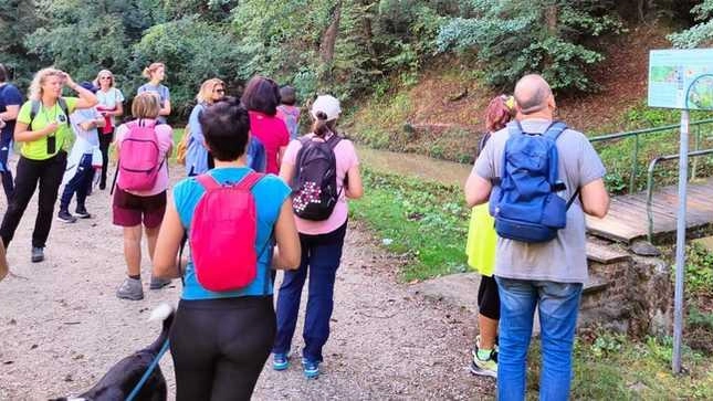 L’Anello della Fontina: 6 km di camminata nella natura tra Comeana e Artimino L’Anello della Fontina: 6 km di camminata nella natura tra Comeana e Artimino