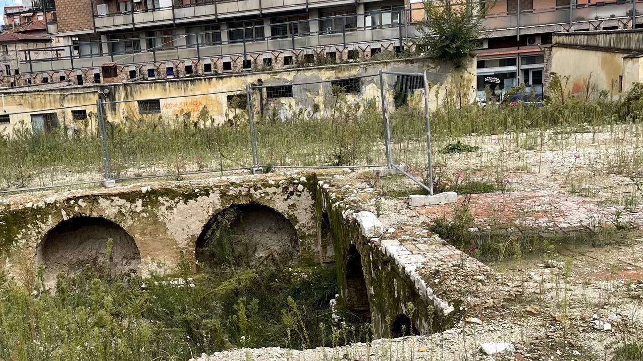 Battaglia in Commissione consiliare per salvare il Convento di Largo Cairoli a Terni: petizione di 800 firme e proposte per preservare il sito storico. Battaglia in Commissione consiliare per salvare il Convento di Largo Cairoli a Terni: petizione di 800 firme e proposte per preservare il sito storico.