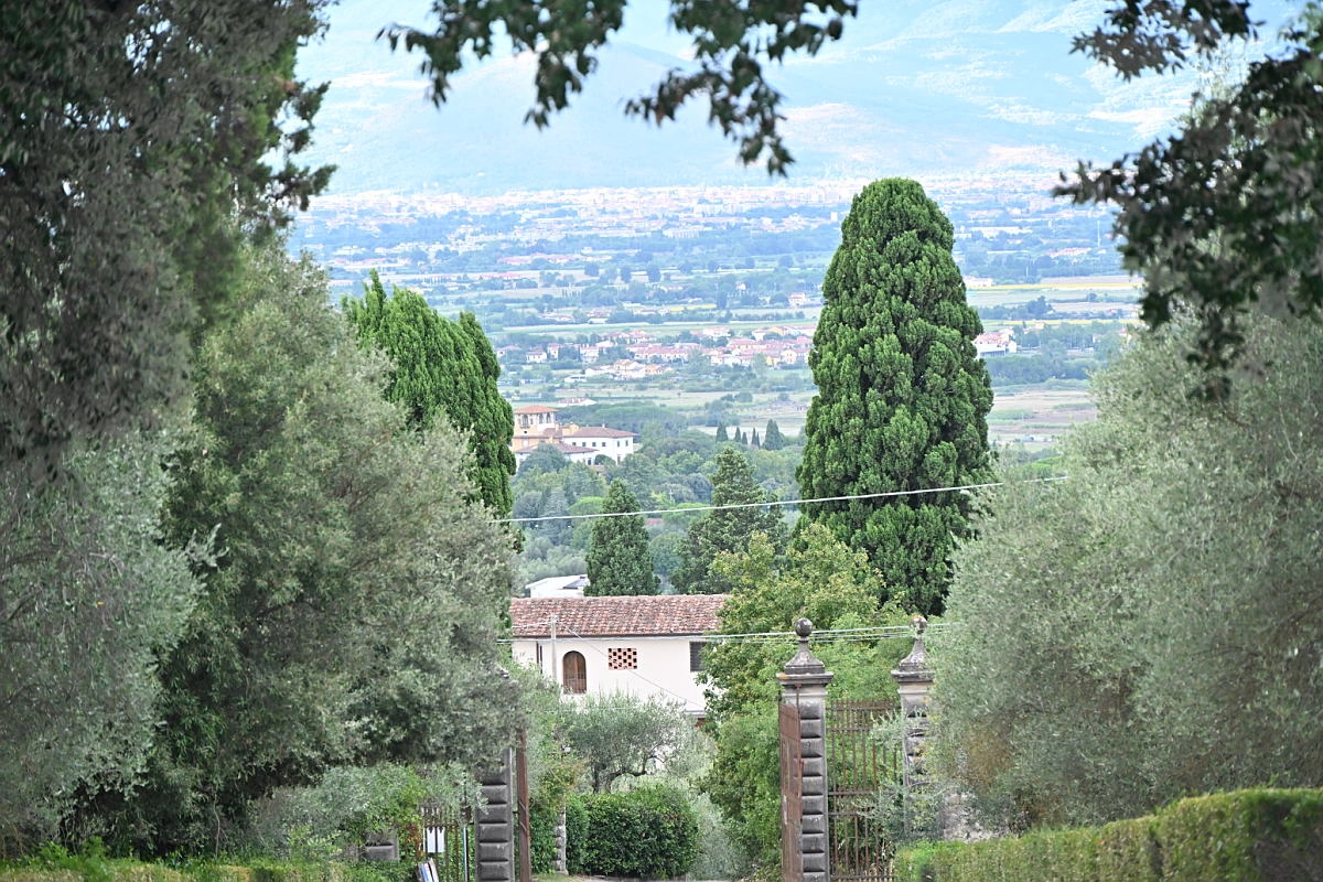 immagine di sfondo 26