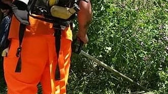 Sono in corso da settimane gli interventi di sfalcio del verde pubblico lungo strade, giardini, rotatorie, aiuole, parcheggi, ciclabili, aree... Sono in corso da settimane gli interventi di sfalcio del verde pubblico lungo strade, giardini, rotatorie, aiuole, parcheggi, ciclabili, aree...
