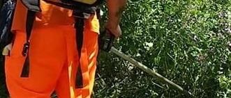 Sfalcio del verde, previsti 330 interventi