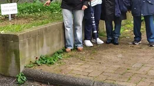 L’inaugurazione del laboratorio con una pianta simbolo di vita L’inaugurazione del laboratorio con una pianta simbolo di vita