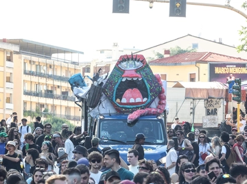 immagine articolo