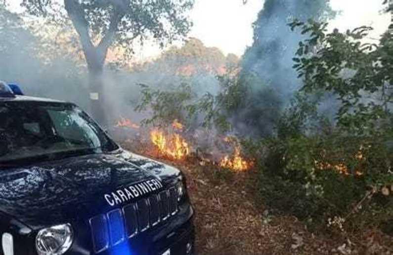 https://www.lanazione.it/image-service/view/acePublic/alias/contentid/MWRhMWRhMjctM2MyOS00/0/incendio-nel-bosco-scatta-la-denuncia.jpeg?f=1.90:1&w=1200