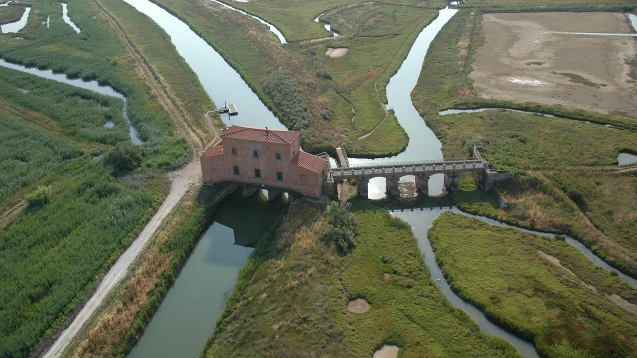 Casa Rossa Ximenes è il simbolo della Riserva naturale Diaccia Botrona Il suo habitat è tanto prezioso quanto delicato e deve essere sotto controllo Casa Rossa Ximenes è il simbolo della Riserva naturale Diaccia Botrona Il suo habitat è tanto prezioso quanto delicato e deve essere sotto controllo