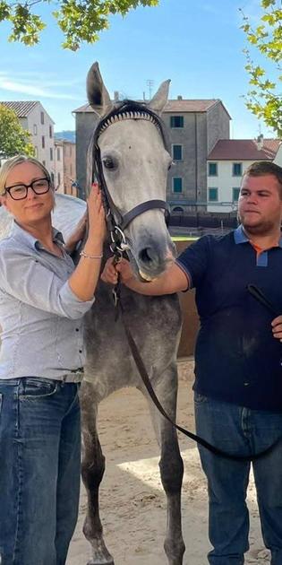 Mereu su Don Rodrigo conquista il Memorial Pioli. L’Associazione premia Bonitas come miglior cavallo