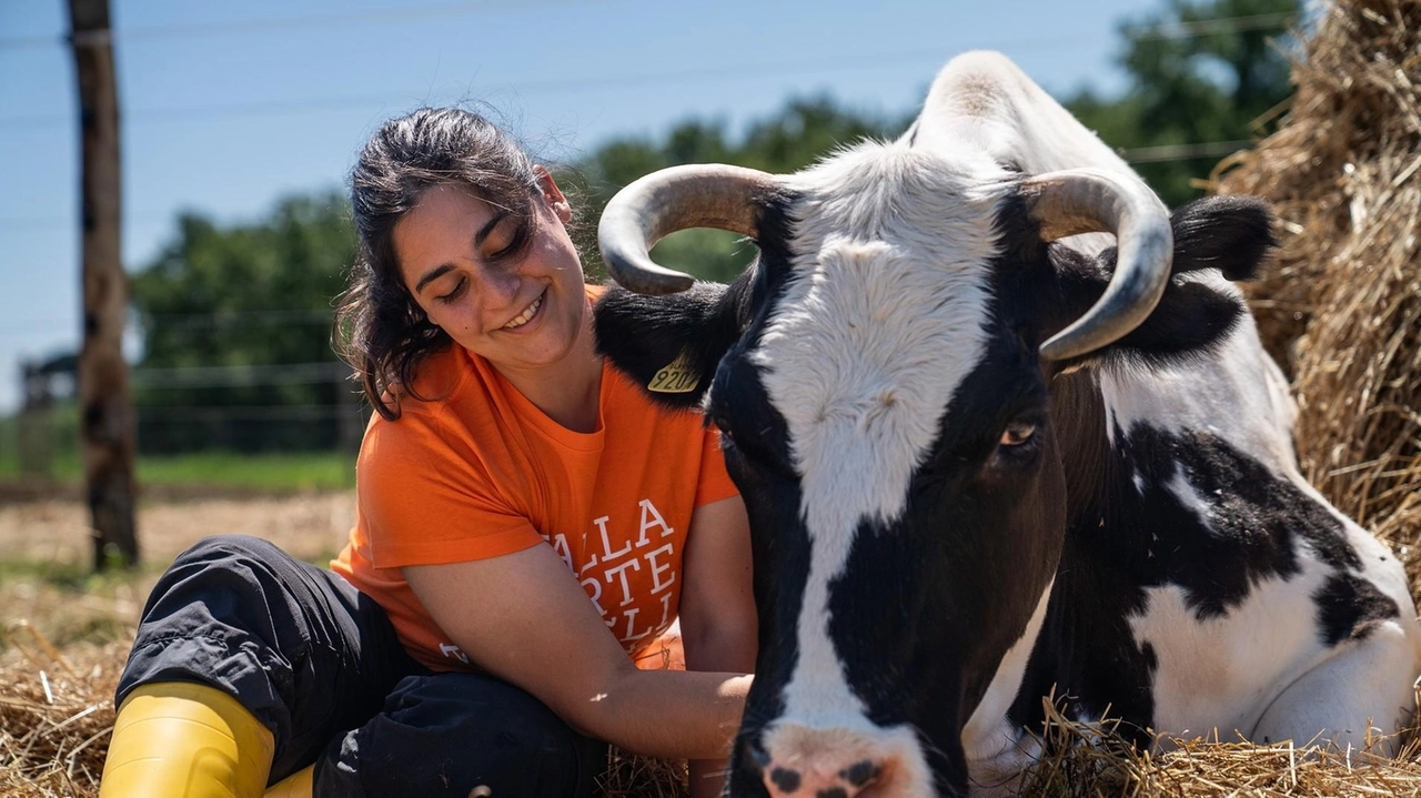 Un’immagine-simbolo del nuovo rifugio per animali della Lav al Trasimeno Un’immagine-simbolo del nuovo rifugio per animali della Lav al Trasimeno