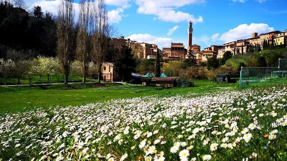 Un percorso formativo multidisciplinare per gli studenti della ’Winter school spessori urbani e territoriali’, organizzata dal dipartimento di Pianificazione, design,... Un percorso formativo multidisciplinare per gli studenti della ’Winter school spessori urbani e territoriali’, organizzata dal dipartimento di Pianificazione, design,...