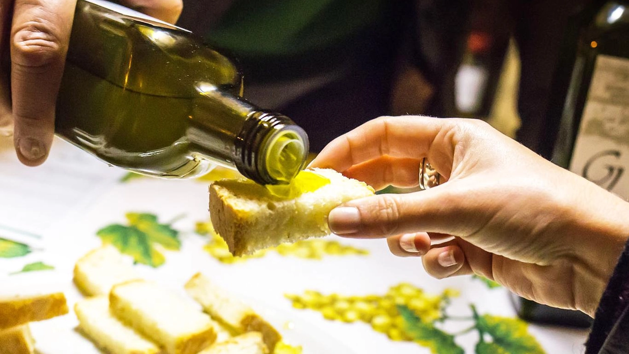 È un appuntamento ormai tradizionale, e di rilievo, per il mondo dell’olivicoltura mugellana, quello che ogni anno il Rotary Club... È un appuntamento ormai tradizionale, e di rilievo, per il mondo dell’olivicoltura mugellana, quello che ogni anno il Rotary Club...