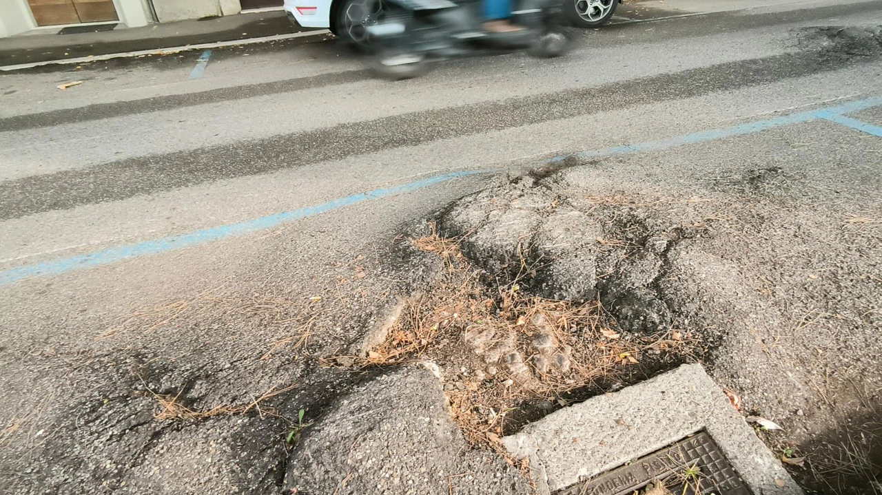 "Non sarà il momento di trovare una soluzione per il manto stradale della bella via Fra’ Guittone?" ci scrive Gioele... "Non sarà il momento di trovare una soluzione per il manto stradale della bella via Fra’ Guittone?" ci scrive Gioele...