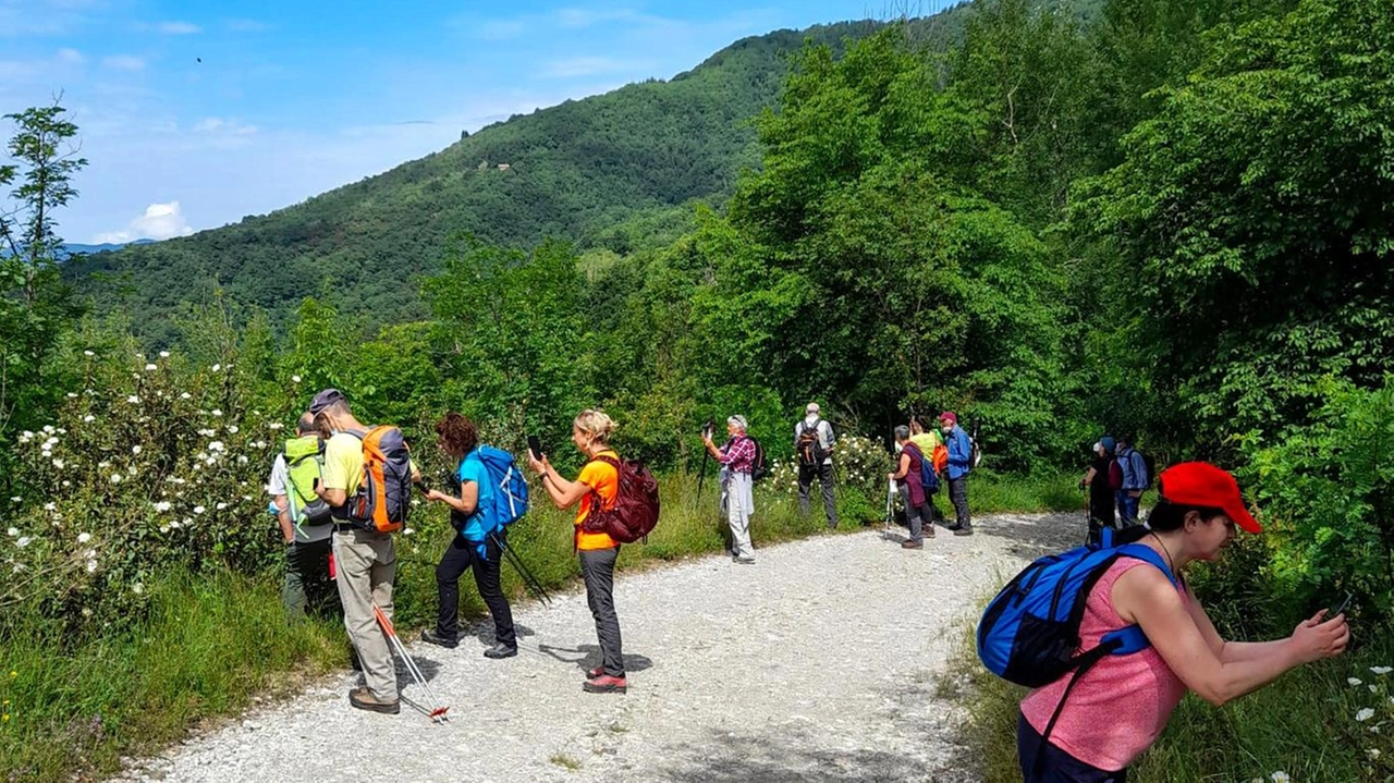 Sono partiti i lavori di valorizzazione del percorso che collega la valle di Sieci. Sono partiti i lavori di valorizzazione del percorso che collega la valle di Sieci.