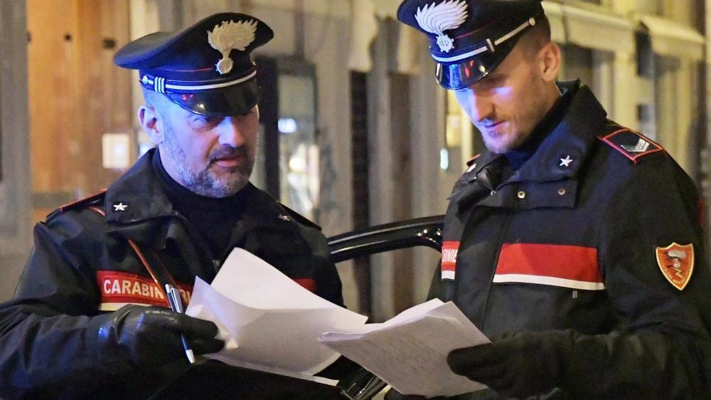 Sugli episodi indagano i carabinieri di Ceparana e di Riccò. (. foto di repertorio