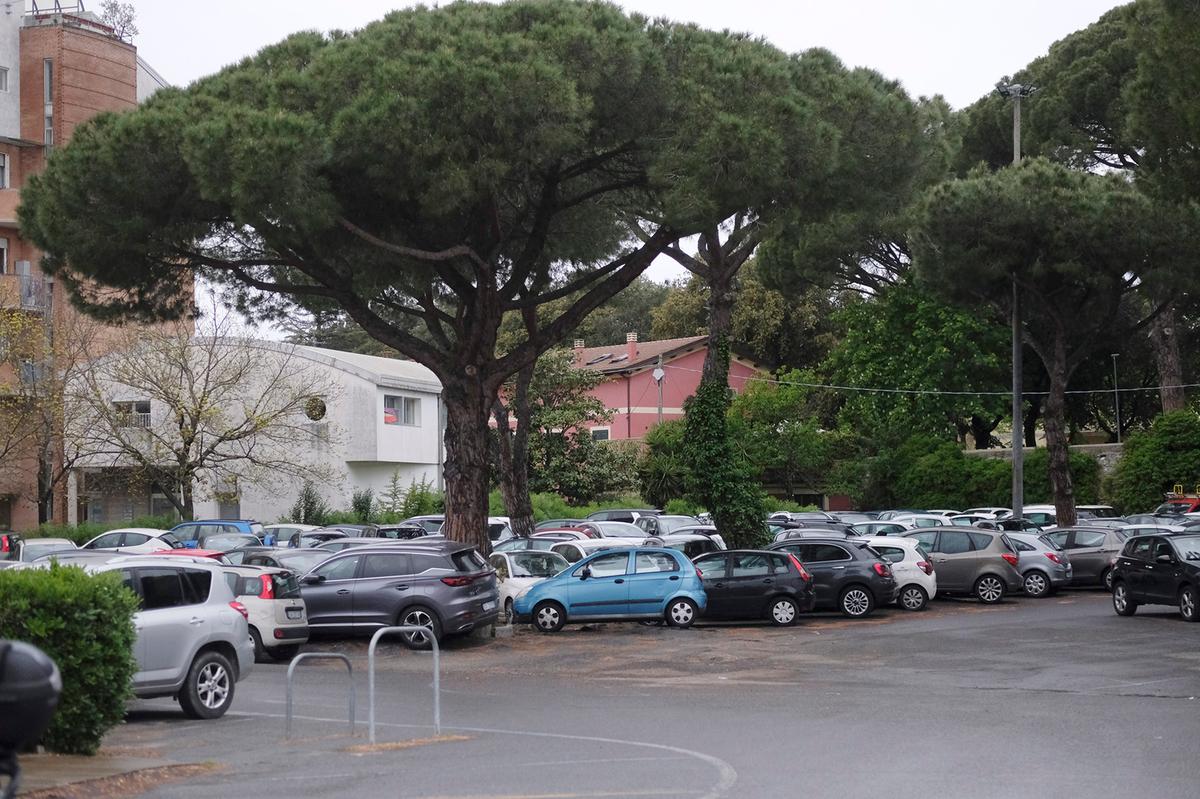 Nuovo piano della sosta. Depositato il progetto della City Green Light