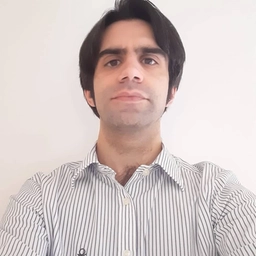 Giovanni Fiorentino, Giornalista