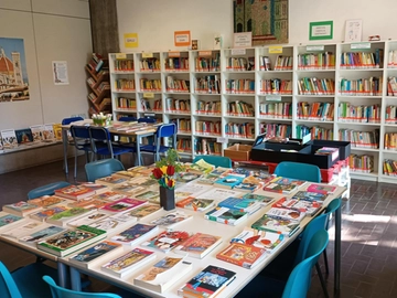 immagine articolo