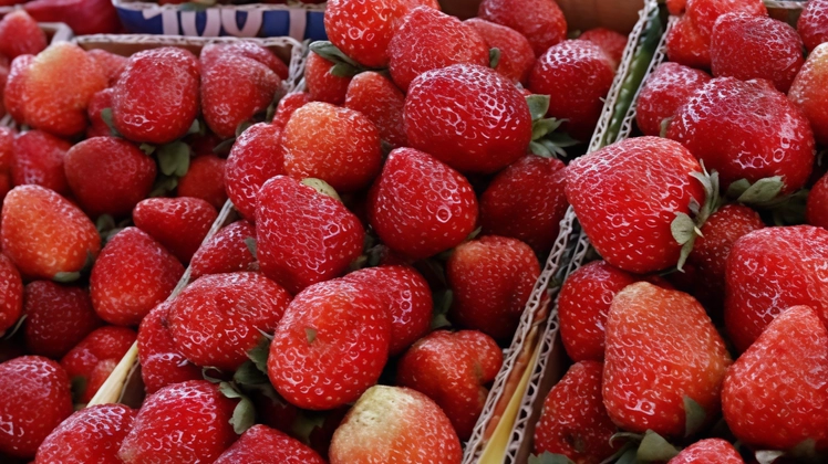 Fragole in un mercato (foto di archivio) Fragole in un mercato (foto di archivio)