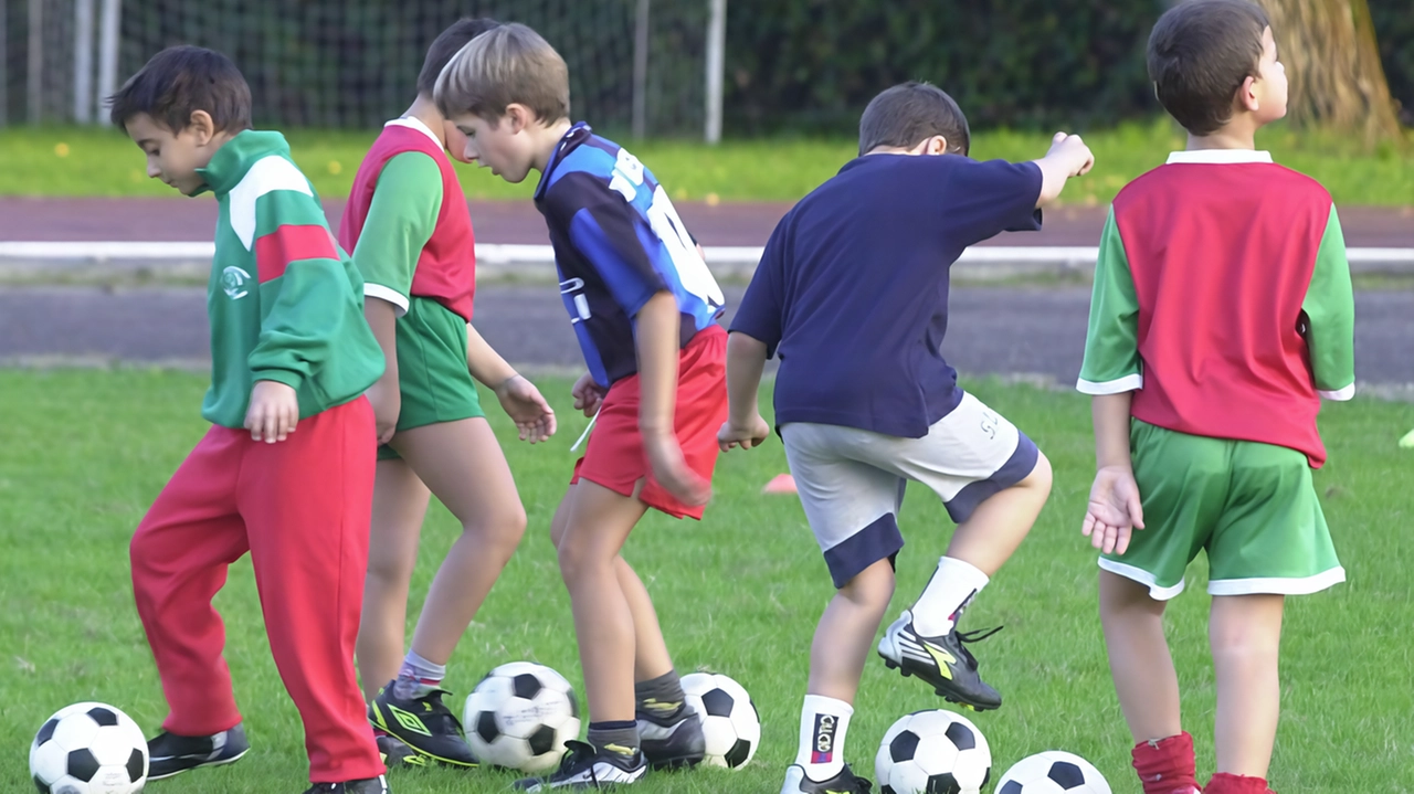 Tante i ragazzi che si allenano nei campi da calcio (. foto d’archivio Tante i ragazzi che si allenano nei campi da calcio (. foto d’archivio