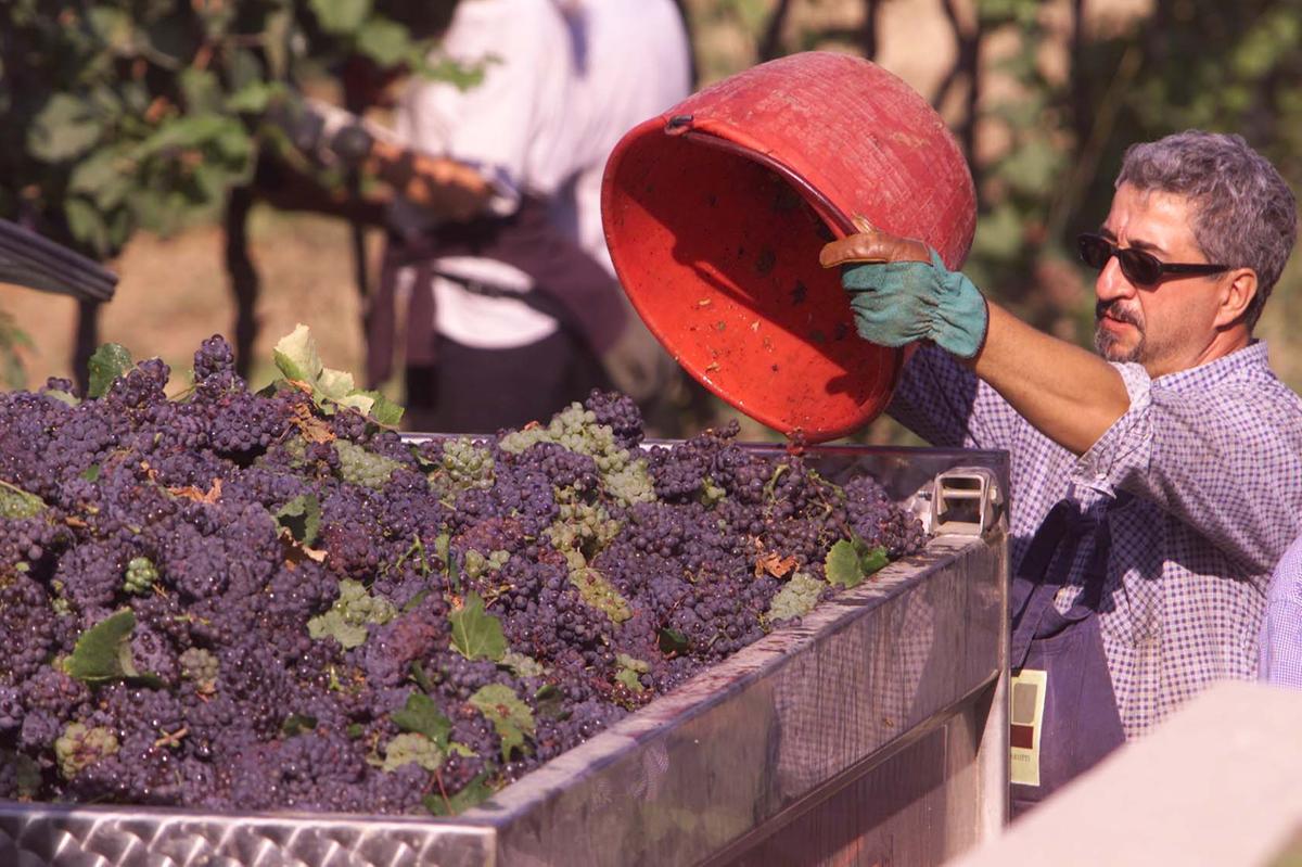 Il vino e i dazi, le aziende senesi tremano. Frescobaldi: “Una stangata, speriamo in un accordo” Il vino e i dazi, le aziende senesi tremano. Frescobaldi: “Una stangata, speriamo in un accordo”