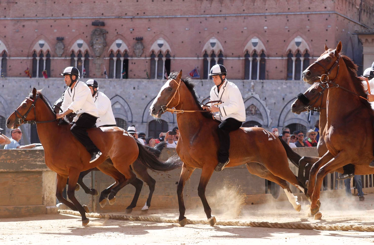immagine di sfondo 20