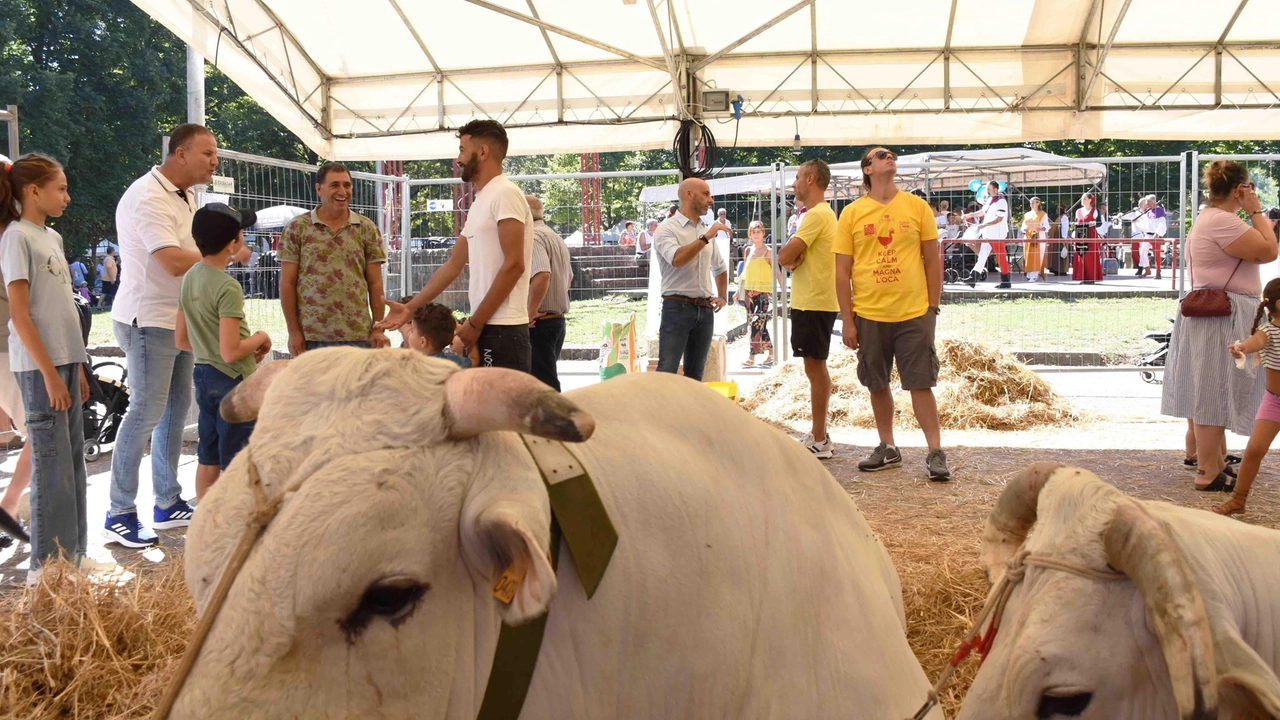 Appuntamento dal 22 al 24 agosto Appuntamento dal 22 al 24 agosto
